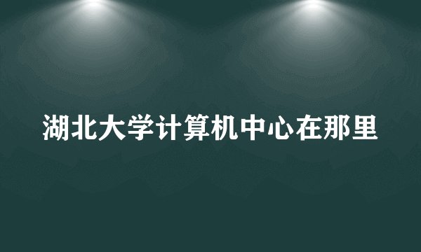湖北大学计算机中心在那里