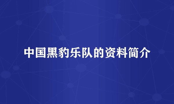 中国黑豹乐队的资料简介