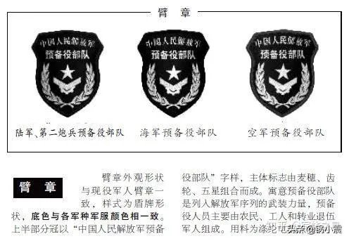 什么是预备役部队?