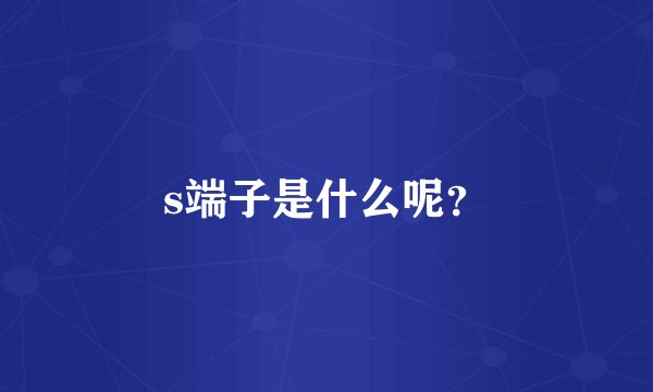 s端子是什么呢？