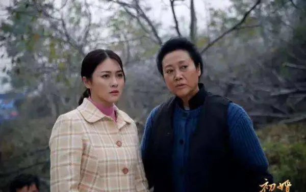 电视剧《初婚》的评价如何?好看么?