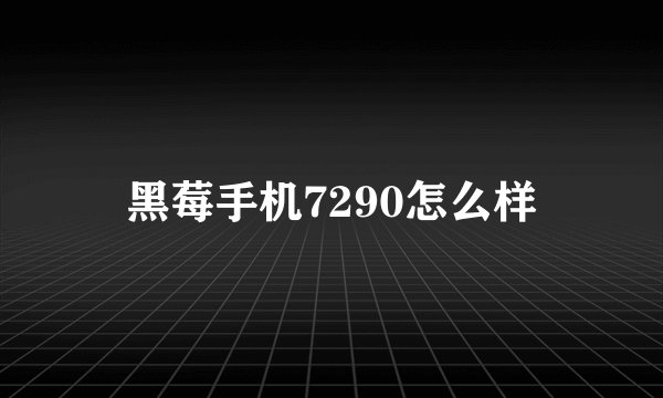 黑莓手机7290怎么样