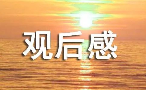 一个独生女的故事观后感