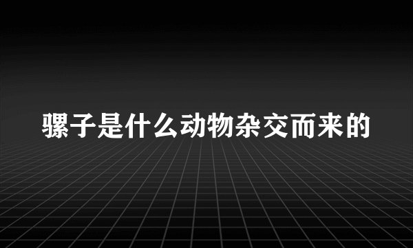 骡子是什么动物杂交而来的
