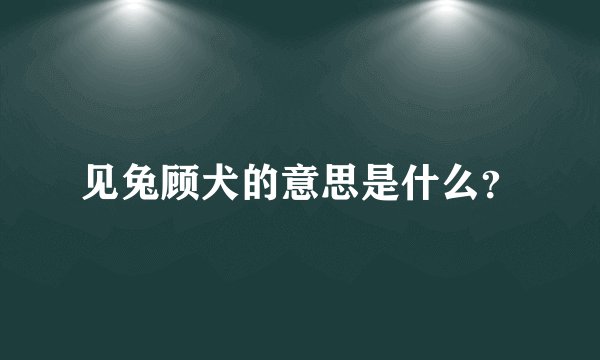 见兔顾犬的意思是什么？