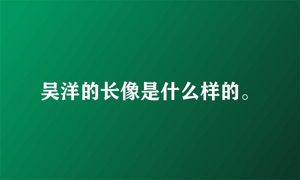 吴洋的长像是什么样的。