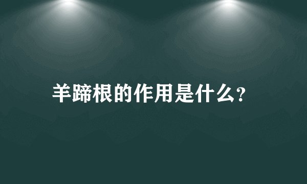 羊蹄根的作用是什么？