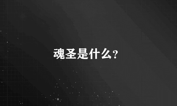 魂圣是什么？