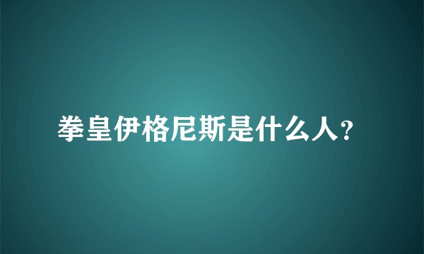 拳皇伊格尼斯是什么人？