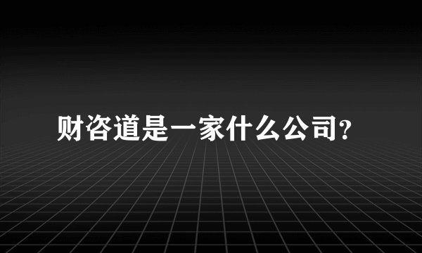 财咨道是一家什么公司？