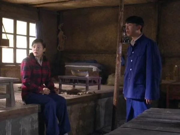 于震、郝蕾温情出演，如何评价《我的二哥二嫂》这部电视剧？