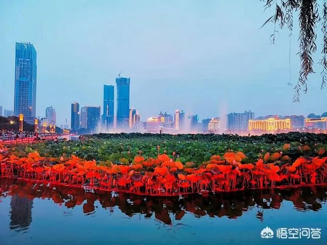 洛阳音乐喷泉值不值得看?你怎么觉得?