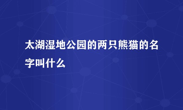 太湖湿地公园的两只熊猫的名字叫什么