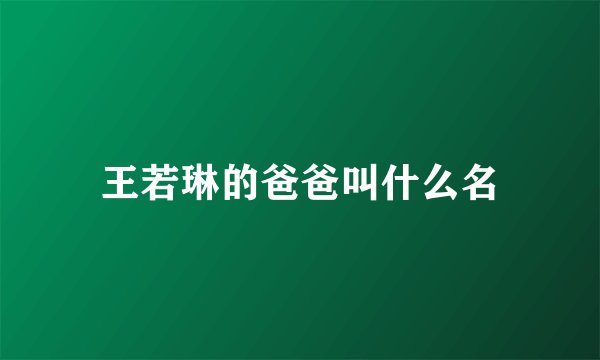 王若琳的爸爸叫什么名