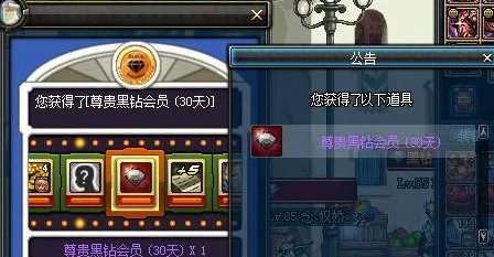 DNF黑钻有什么用