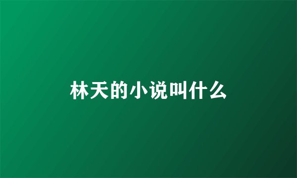 林天的小说叫什么