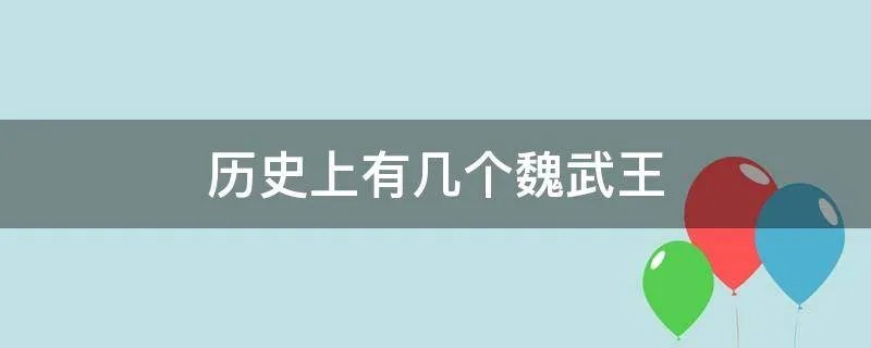 历史上有几个魏武王