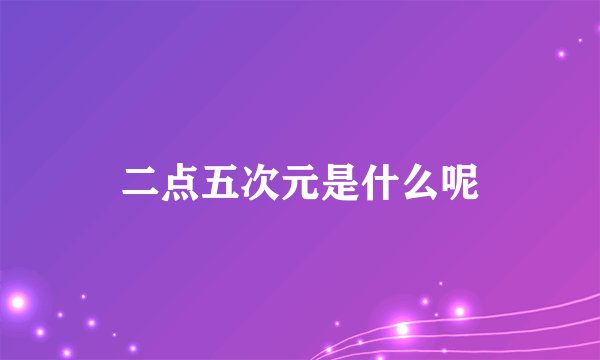 二点五次元是什么呢