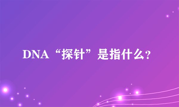 DNA“探针”是指什么?