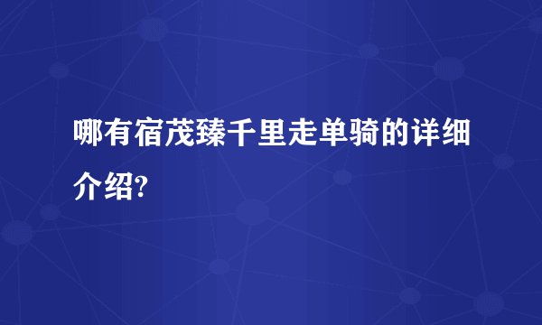 哪有宿茂臻千里走单骑的详细介绍?