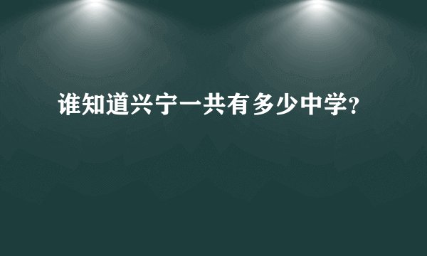 谁知道兴宁一共有多少中学？