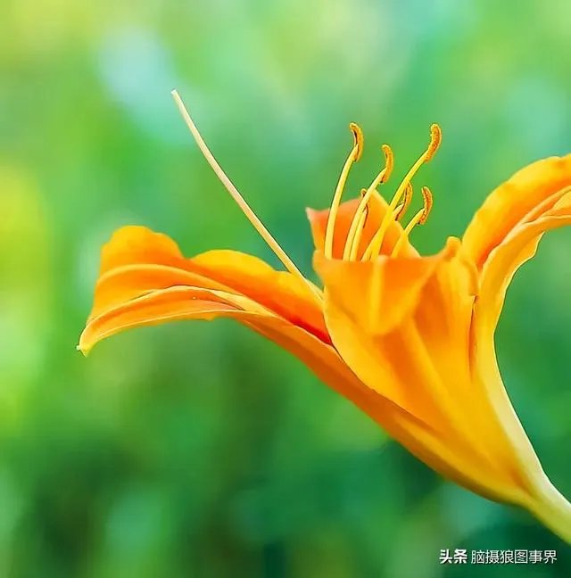 摄影家摄影师