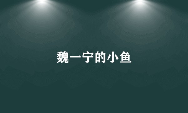 魏一宁的小鱼