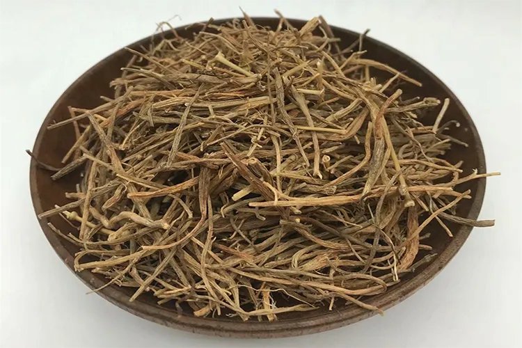 千针万线草药图片