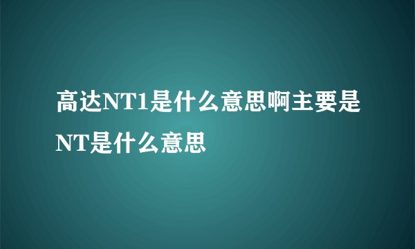 高达NT1是什么意思啊主要是NT是什么意思