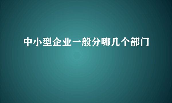 中小型企业一般分哪几个部门