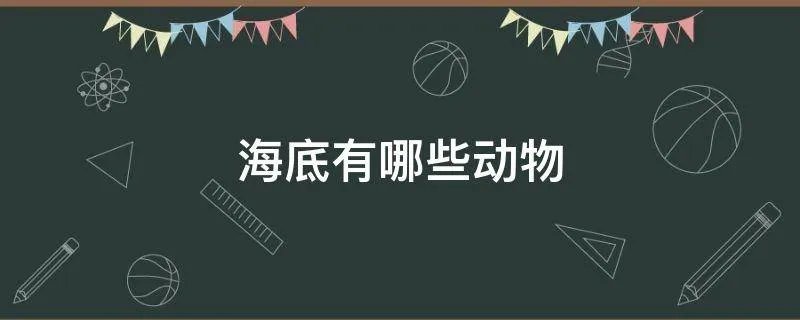 海底有哪些动物