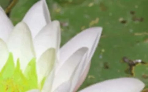 夏至吃什么
