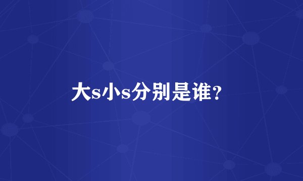 大s小s分别是谁？
