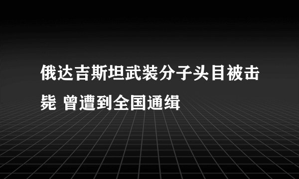 俄达吉斯坦武装分子头目被击毙 曾遭到全国通缉