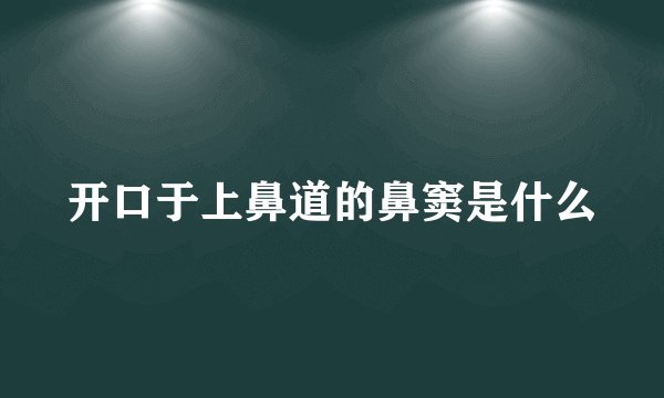 开口于上鼻道的鼻窦是什么
