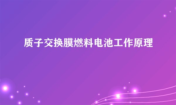 质子交换膜燃料电池工作原理