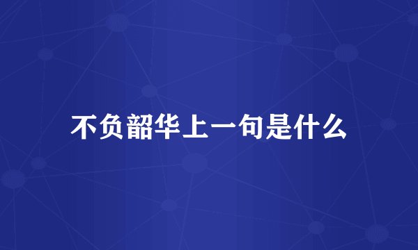 不负韶华上一句是什么