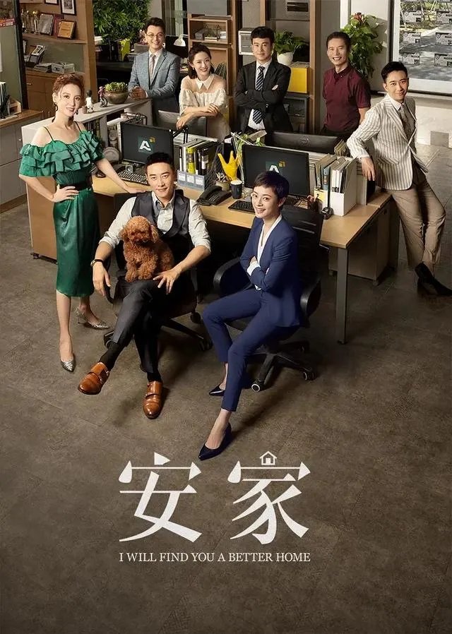 《安家》电视剧和哪个电视剧相似？