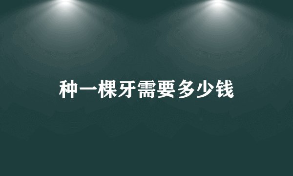 种一棵牙需要多少钱
