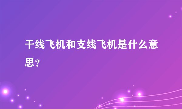 干线飞机和支线飞机是什么意思？