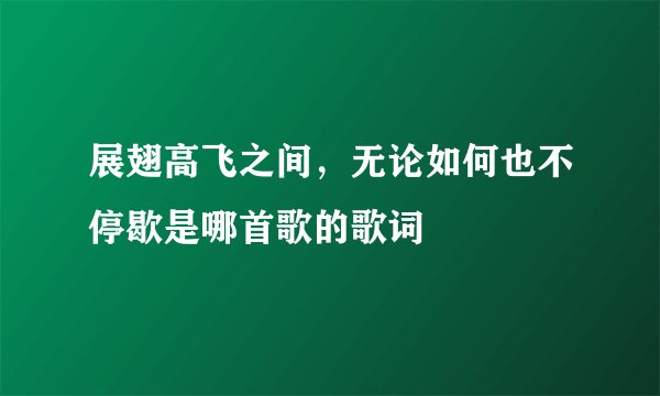展翅高飞之间，无论如何也不停歇是哪首歌的歌词