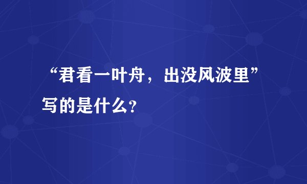 “君看一叶舟，出没风波里”写的是什么？
