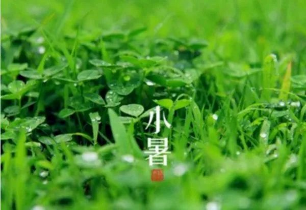 大暑本意何为