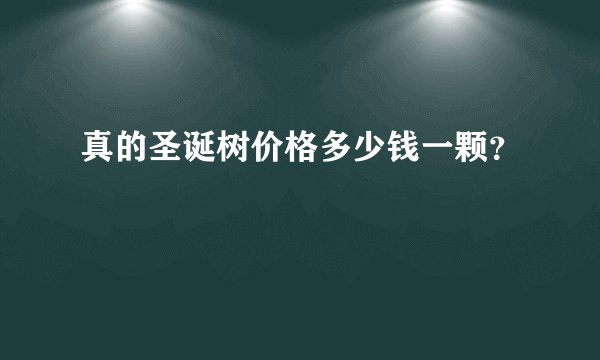 真的圣诞树价格多少钱一颗？