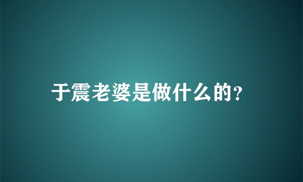 于震老婆是做什么的?