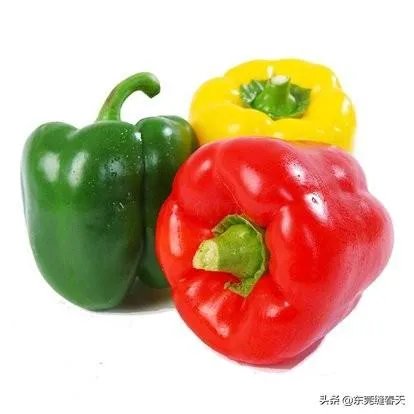 萨菲罗彩椒有什么特点?它的栽培技术要点有哪些?