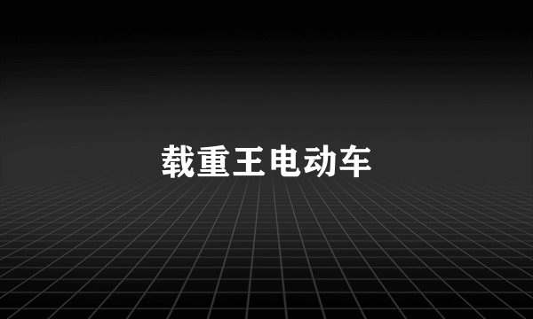 载重王电动车