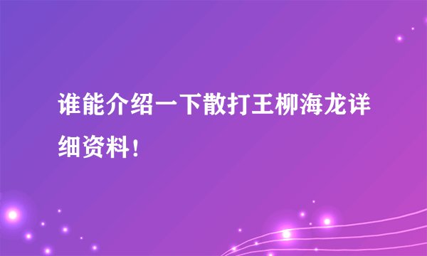谁能介绍一下散打王柳海龙详细资料！