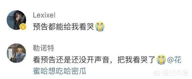 如何评价电影《一条狗的使命2》？