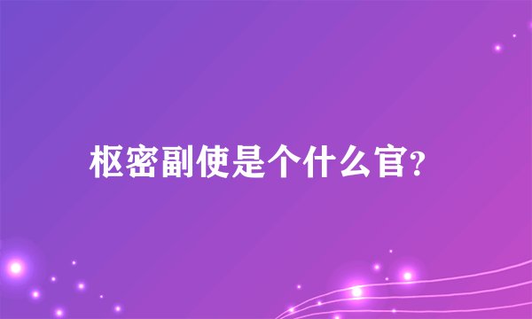 枢密副使是个什么官？